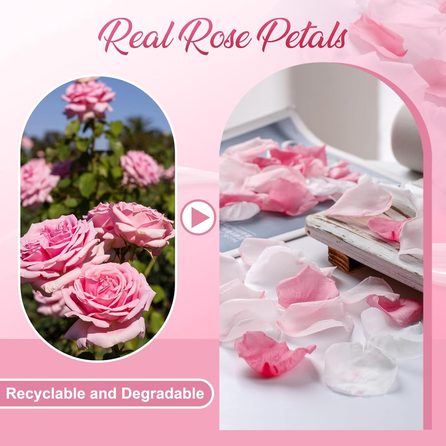 300 PCS Real Pink White Rose Flower Petals Confetti for Wedding Flower Girl to Throw, 2.82oz Freeze Dried Rose Petal for Proposal Centerpieces Romantic Night Decor