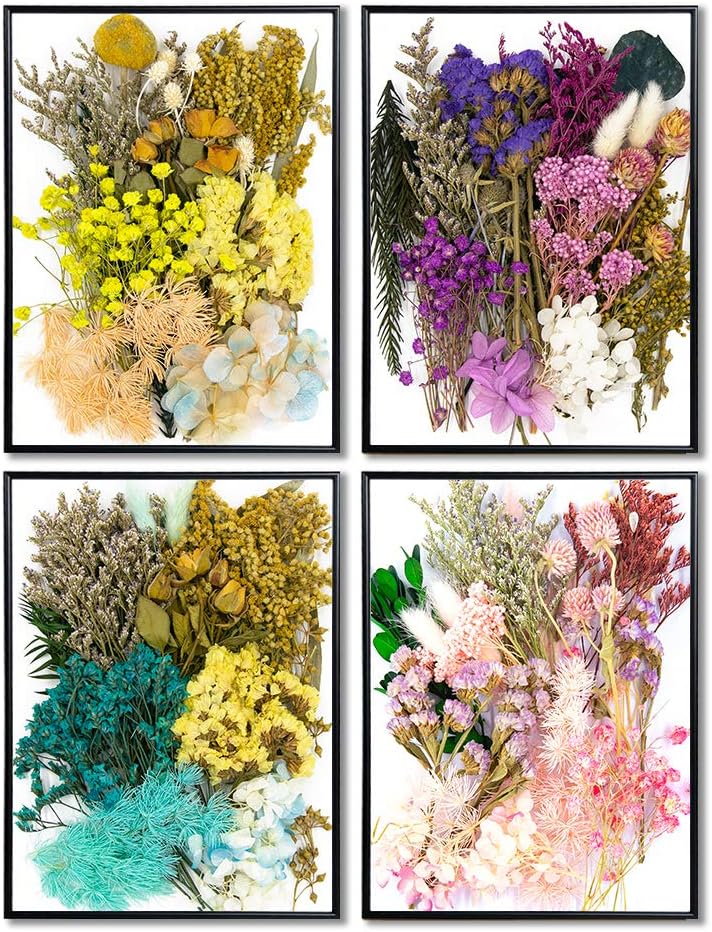 Vignee Real Dried Pressed Leaf Flowers-Multiple Colorful Pressed Flowers Daisies for Craft Resin Jewelry Making Art Craft DIY and Soap Candle Scrapbooking DIY Resin(Light Pink)