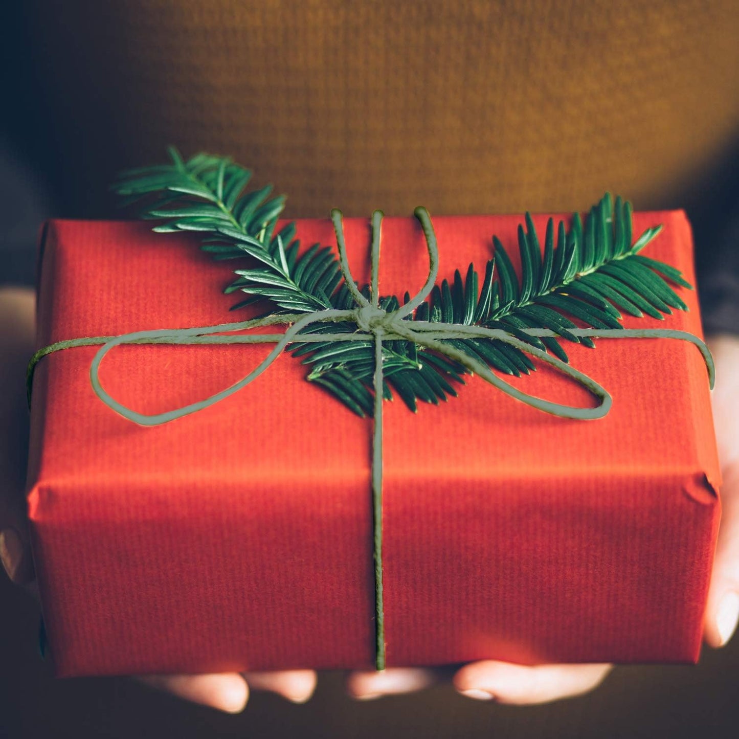 Syhood Floral Vine Bind Wire Rustic Wrapping Wire for Flower Bouquets(Deep Green)