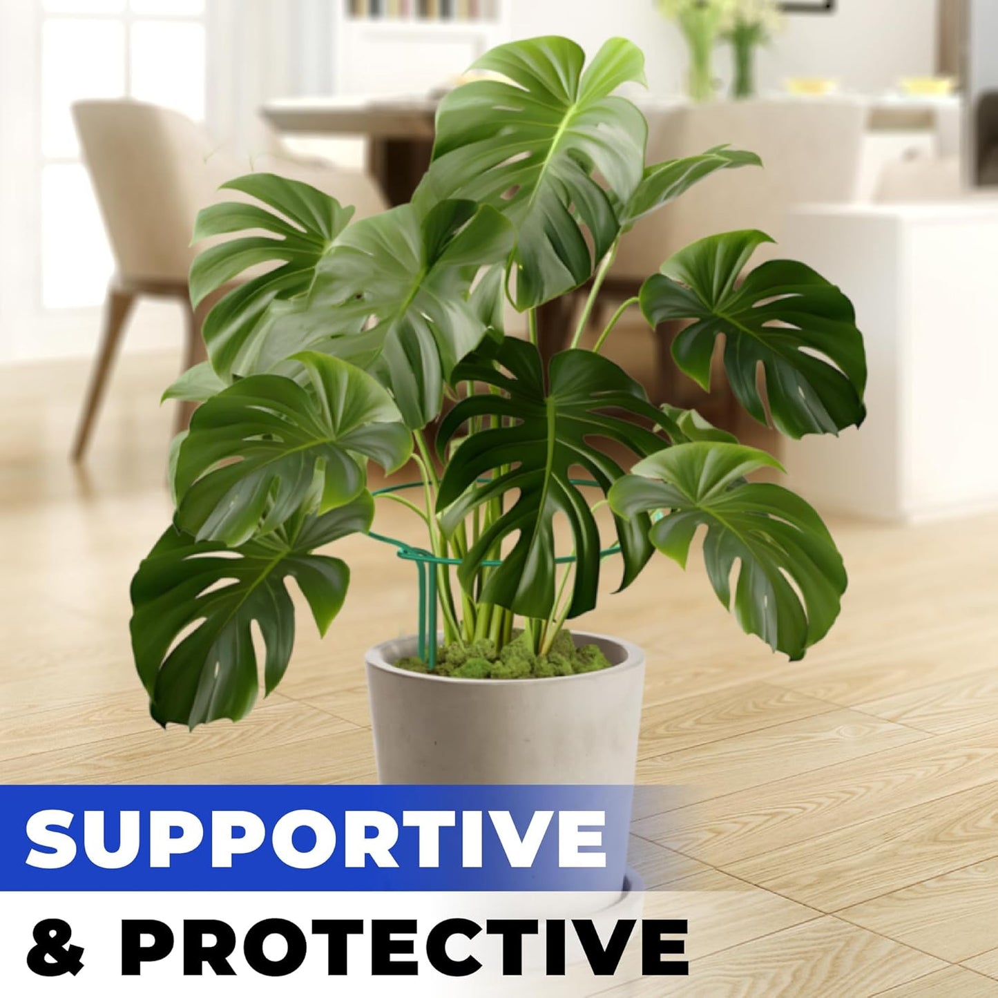 K-Brands Tall Plant Support Stakes – 10"W x 24"H Half Round Peony Cages and Supports for Indoor and Outdoor Plants – Plant Cage Ring Support for Flower - Peony, Tomato, Hydrangea, Rose Bush (6 Pack)