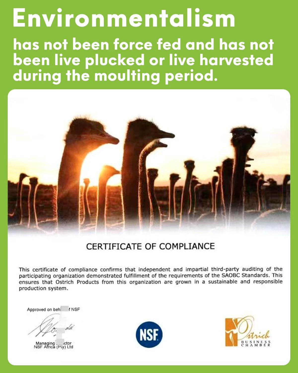 NEWONG 30pcs Fuchsia Ostrich Feathers Natural Bulk 11-14inch(28-35cm) Vase Craft Wedding Home Party Centerpieces Christmas Day Decoration