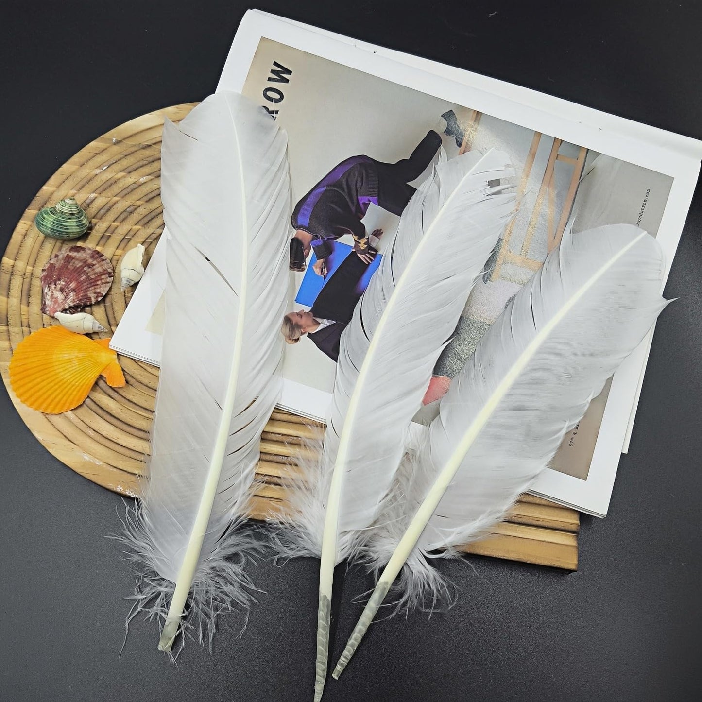 White Turkey Feathers,22 Pcs Natural Feathers Bulk Long 10-12 inch (25-30cm),Turkish Feather for Crafts DIY Wedding Home Party Mardi Gras Decorations (White)