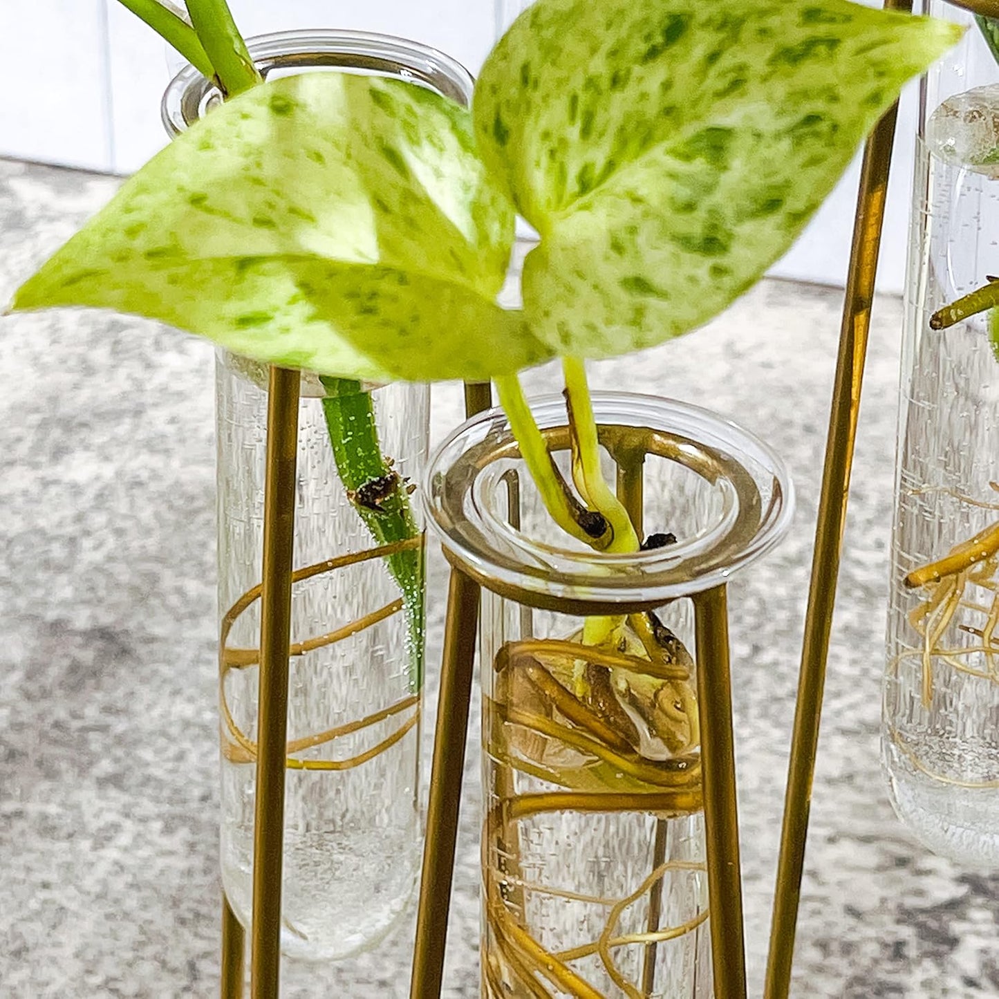 Propagation Station Terrariums with Gold Metal Stand - Kate Aspen 3 Glass Test Tube Planters for Indoor Plant, Air Plants, Plant Clippings, Cut Flowers, Herbs, Succulents | Home Decor Table Decoration