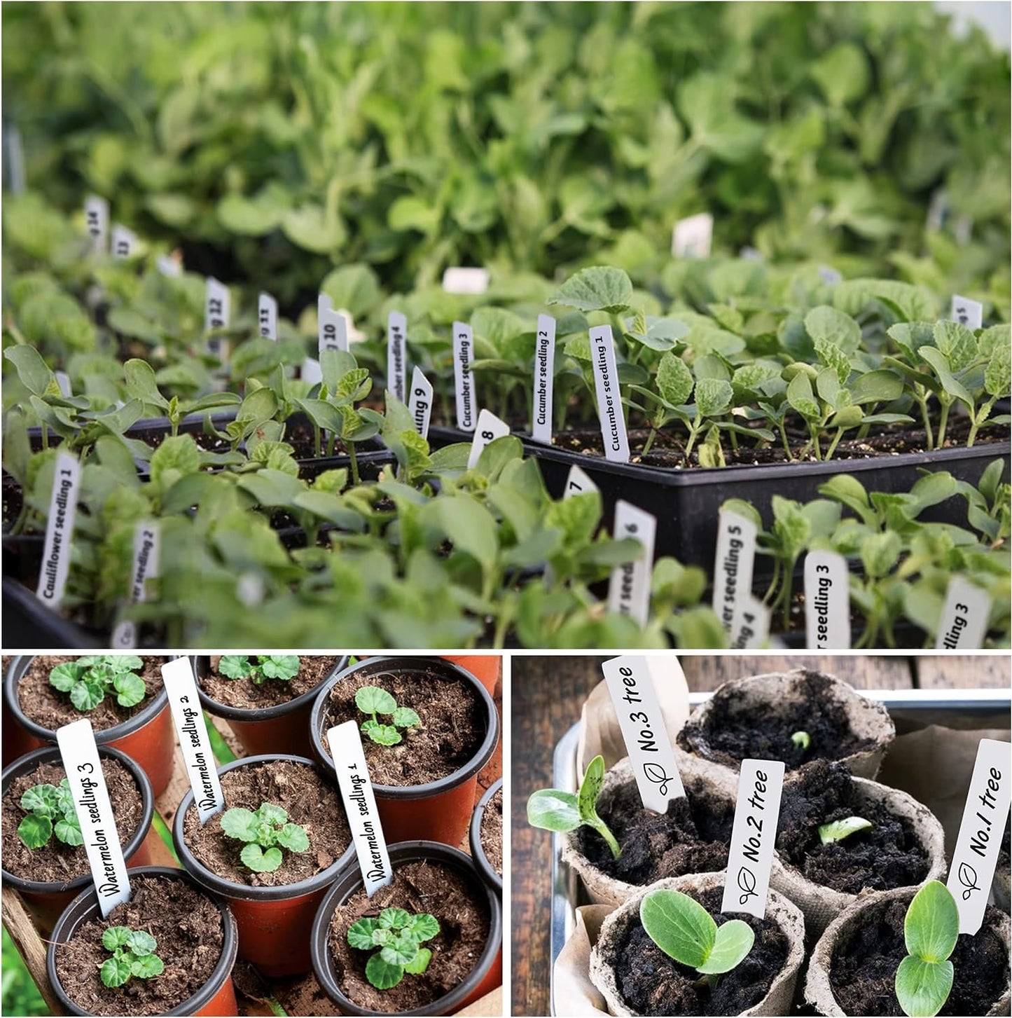 Plant Labels 4 Inch 500Pcs Plastic Plant Name Tags for Seedlings Garden Labels Markers Nursery Plant Tags Seed Labels Plant Label Stakes with Permanet Marking Pen Plant Markers for Outdoor Garden