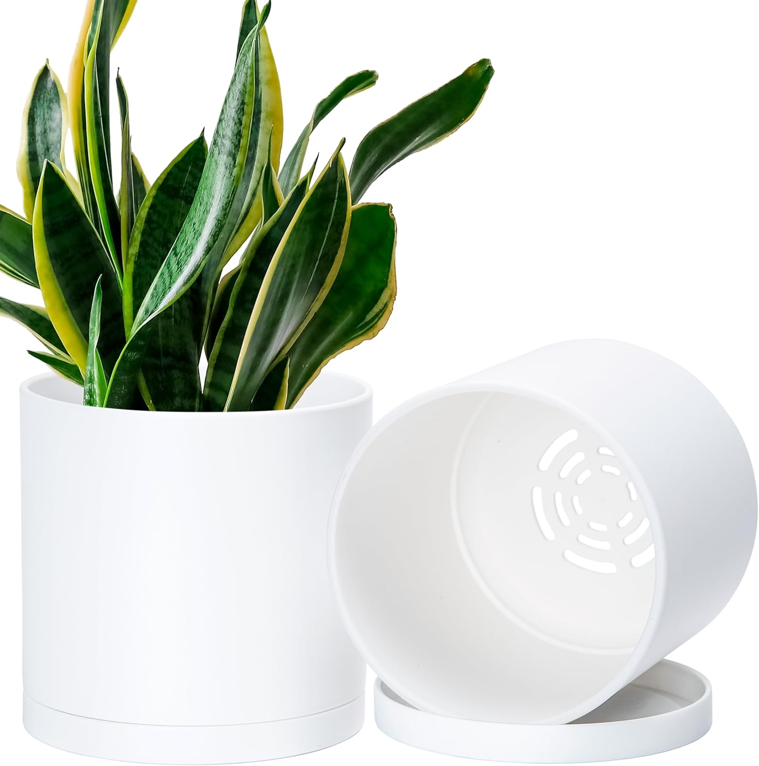 Gardening & Lawn Care