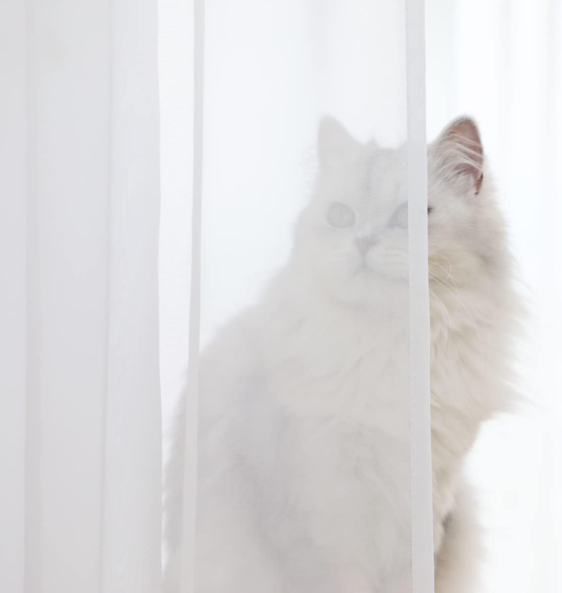 Basic White Sheer Curtains - 2 Panel, 90" L x 52" W | Bedroom, Living Room, Kitchen