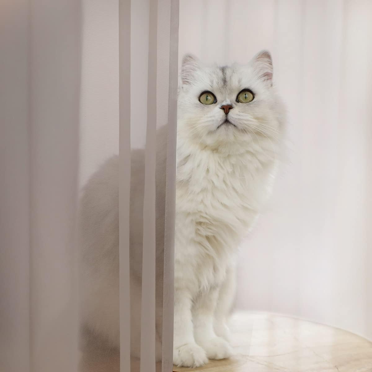 Window Light Grey Sheer Curtains 60 Inches Width 72 Inches Long 2 Panels Sheer Curtains Clear Curtains Basic Rod Pocket Panel for Home Living Room Bedroom Kids Room Yard Patio Parlor Sliding