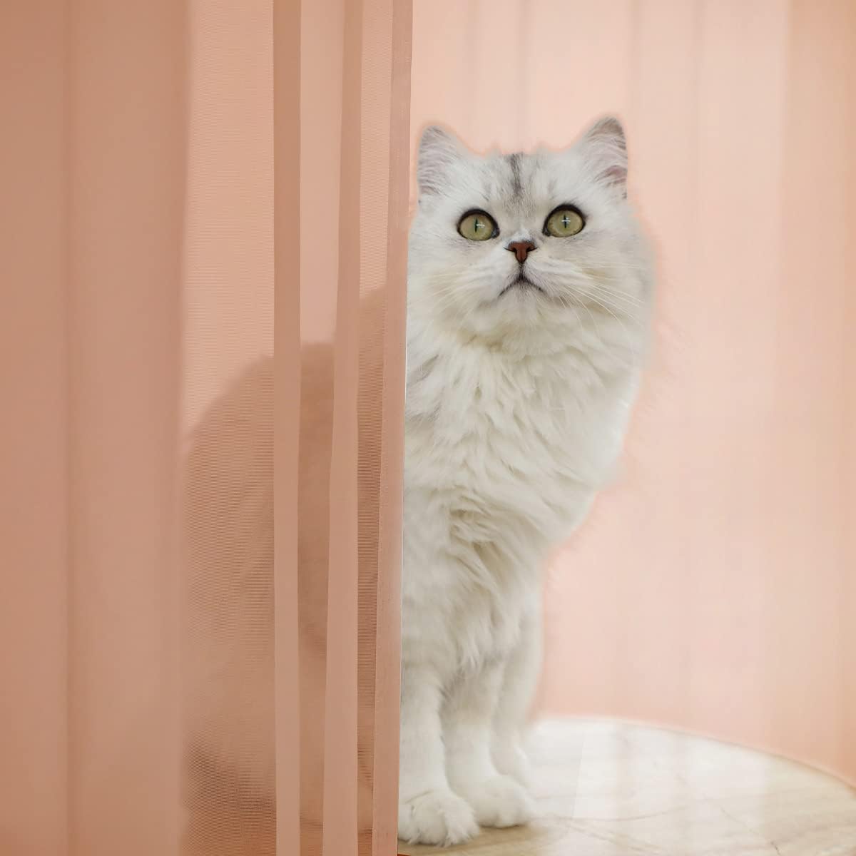 L&TEC Window Brown Sheer Curtains 60X45 Inches