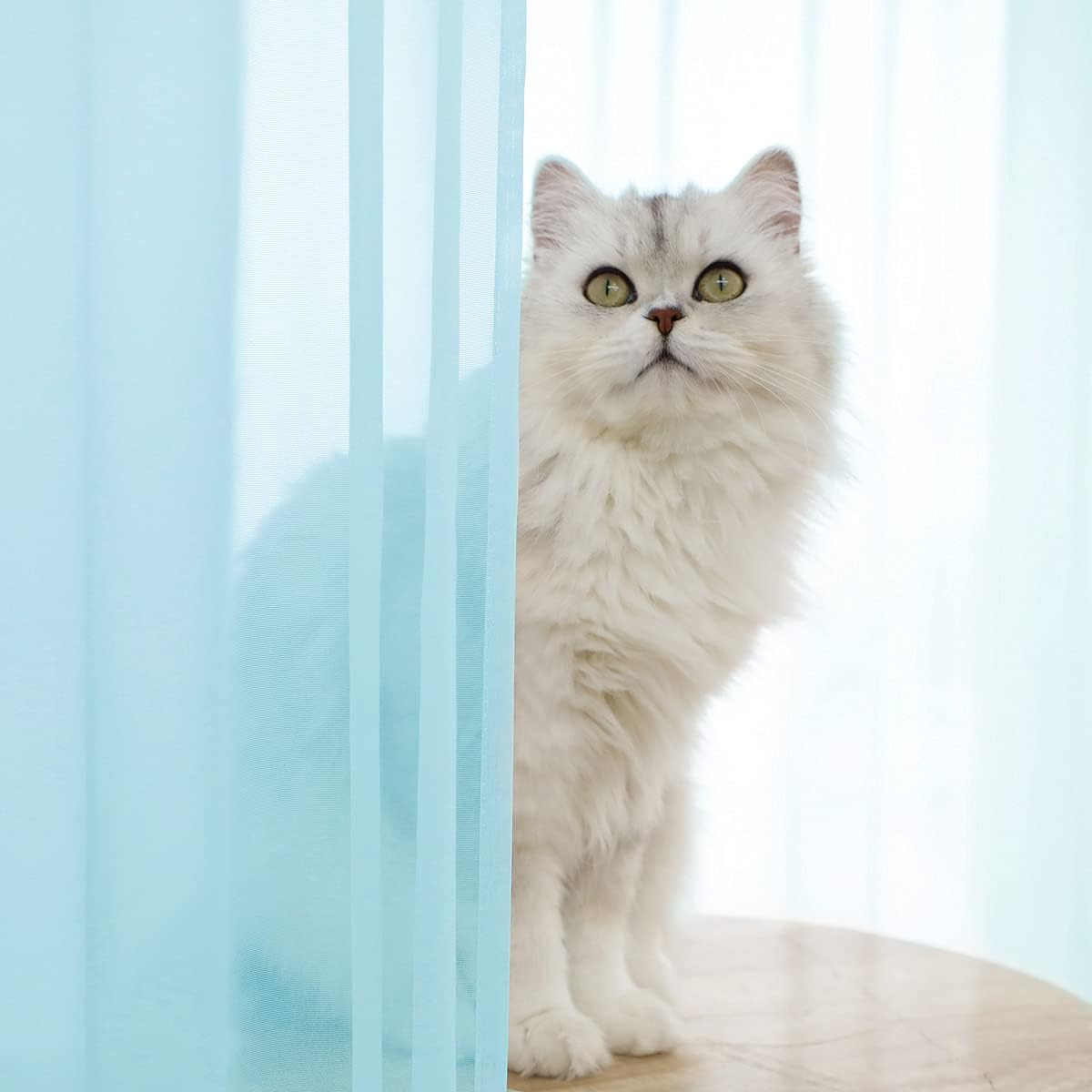 Window Lake Blue Sheer Curtains 60 Inches Width 120 Inches Long 2 Panels Sheer Curtain Clear Curtains Basic Rod Pocket Panel for Home Living Room Bedroom Kids Room Yard Patio Parlor Sliding