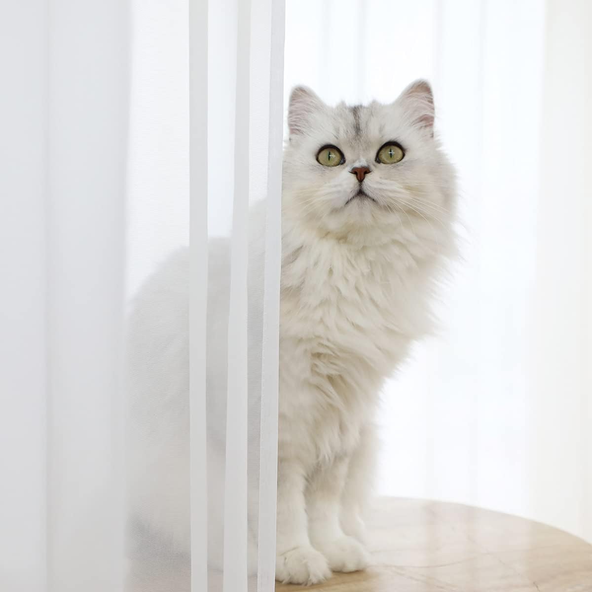 Window White Sheer Curtains 48 Inches Width 84 Inches Long 2 Panels Sheer Curtains Clear Curtains Basic Rod Pocket Panel for Home/Living Room/Bedroom/Kids Room