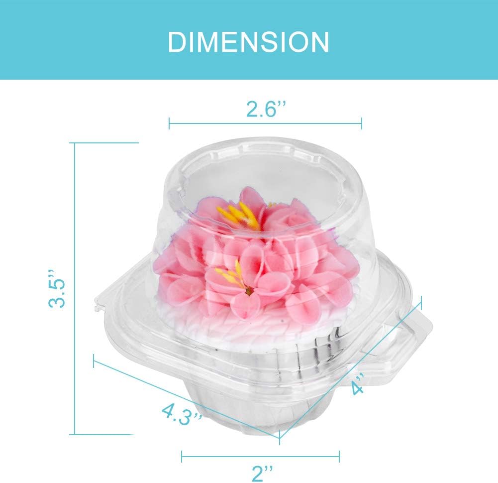 100 Pcs Cupcake Boxes Plastic Individual Cupcake Containers Single Cupcake Carrier with Connected Airtight Dome Lid for Party
