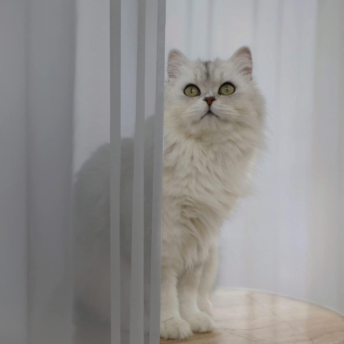 Window Gray Sheer Curtains 145 Inches Long 2 Panels Sheer Curtain Basic Rod Pocket Panel for Bedroom Children Living Room Yard Kitchen (Gray, 52" W x 145" L | 2 pcs)