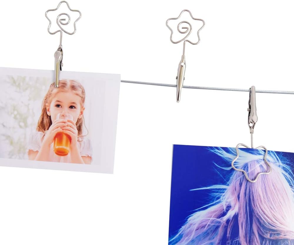 Multi-Purpose Steel Wall Hanging Photo Display Cable Wire Rod with 12 Adjustable Clips for Hanging Photos Notes Postcard and Artworks (Flower)