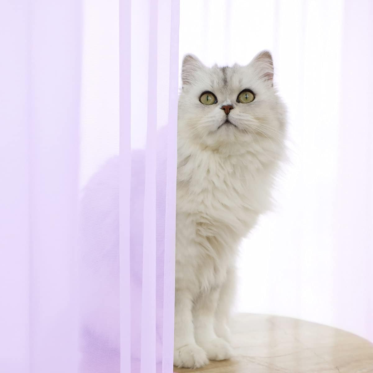 Window Purple Sheer Curtains 63 Inches Long 2 Panels Sheer Curtain Basic Rod Pocket Panel for Bedroom Children Living Room Yard Kitchen (Purple, 52" W x 63" L | 2 pcs)