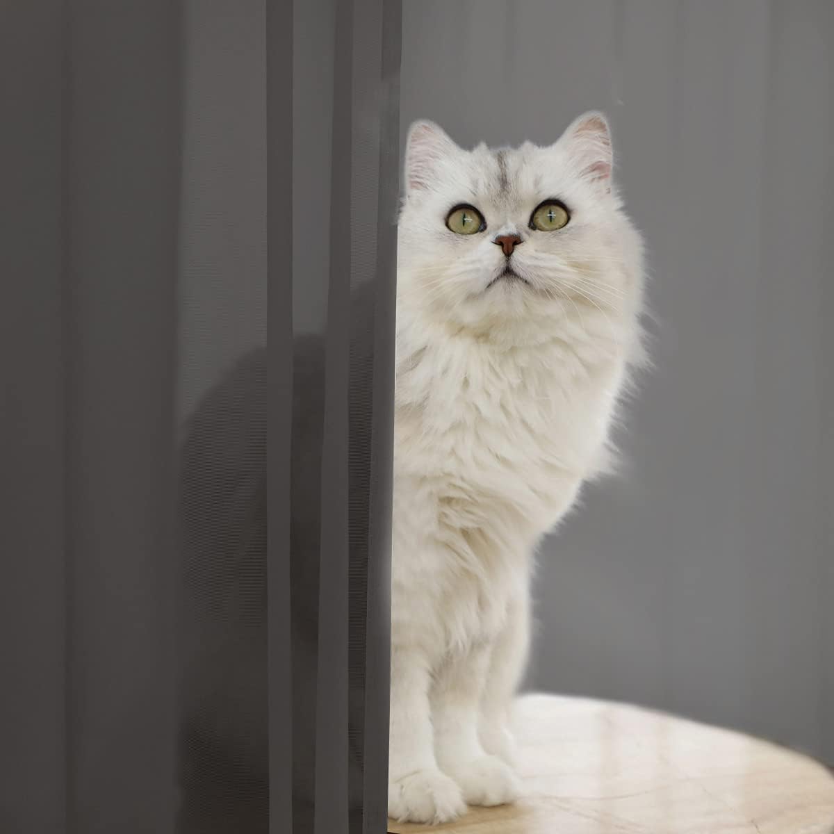 Window Dark Gray Sheer Curtains 108 Inches Long 2 Panels Sheer Curtain Basic Rod Pocket Panel for Bedroom Children Living Room Yard Kitchen (Dark Gray, 52" W x 108" L | 2 pcs)