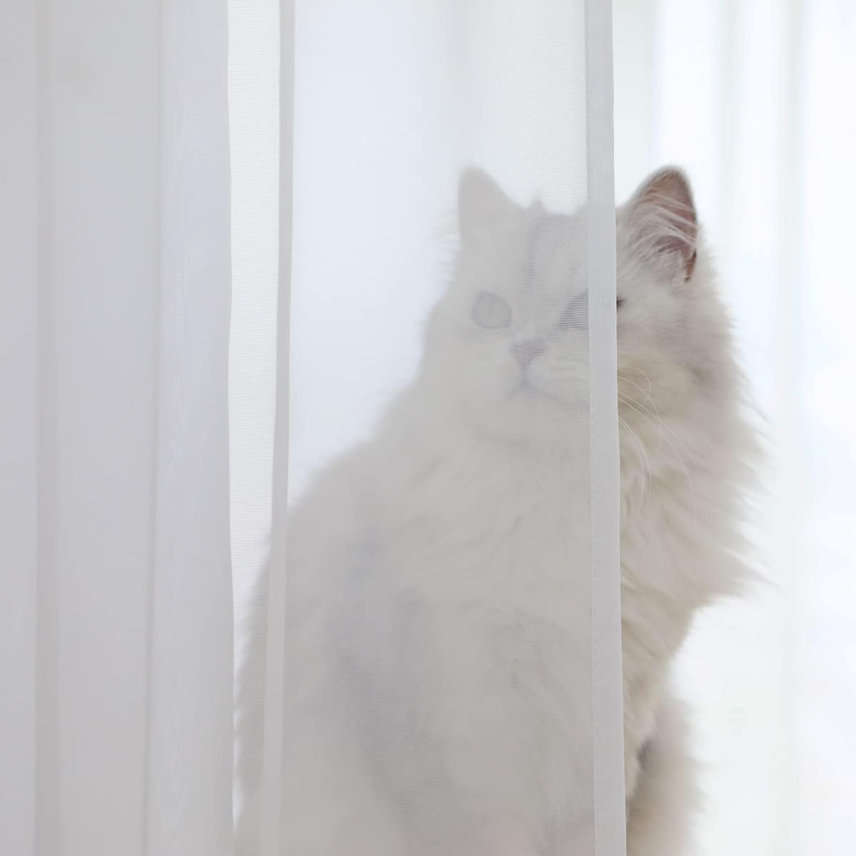 Window Ivory Sheer Curtains 72 Inches Long 2 Panels Sheer Curtain Basic Rod Pocket Panel for Bedroom Children Living Room Yard Kitchen (Ivory, 52" W x 72" L | 2 pcs)