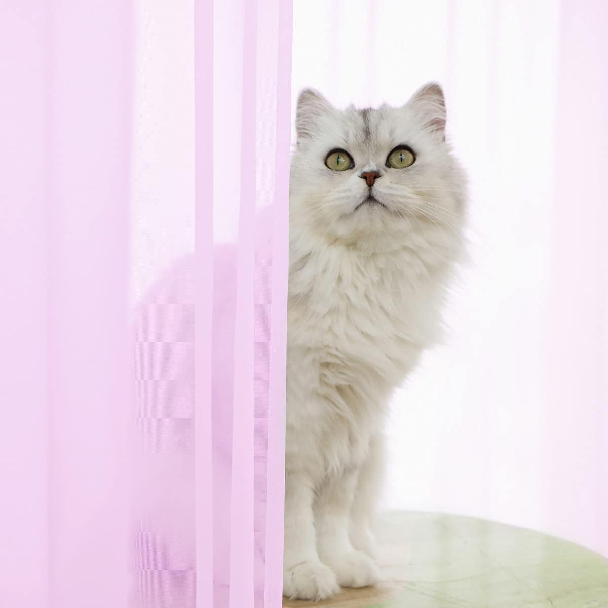 Window Pink Sheer Curtains 48 Inches Width 45 Inches Long 2 Panels Sheer Curtain Clear Curtains Basic Rod Pocket Panel for Home Living Room Bedroom Kids Room Yard Patio Parlor Sliding