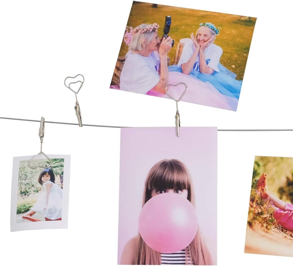 Multi-Purpose Steel Wall Hanging Photo Display Cable Wire Rod with 12 Adjustable Clips for Hanging Photos Notes Postcard and Artworks (Heart)