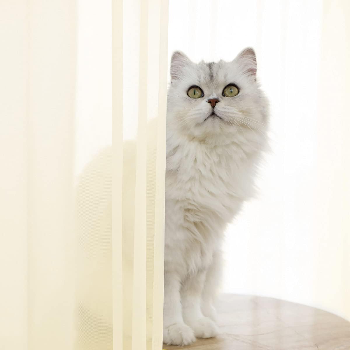 Window Light Yellow Sheer Curtains 48 Inches Width 63 Inches Long 2 Panels Sheer Curtain Clear Curtains Basic Rod Pocket Panel for Home Living Room Bedroom Kids Room Yard Patio Parlor Sliding