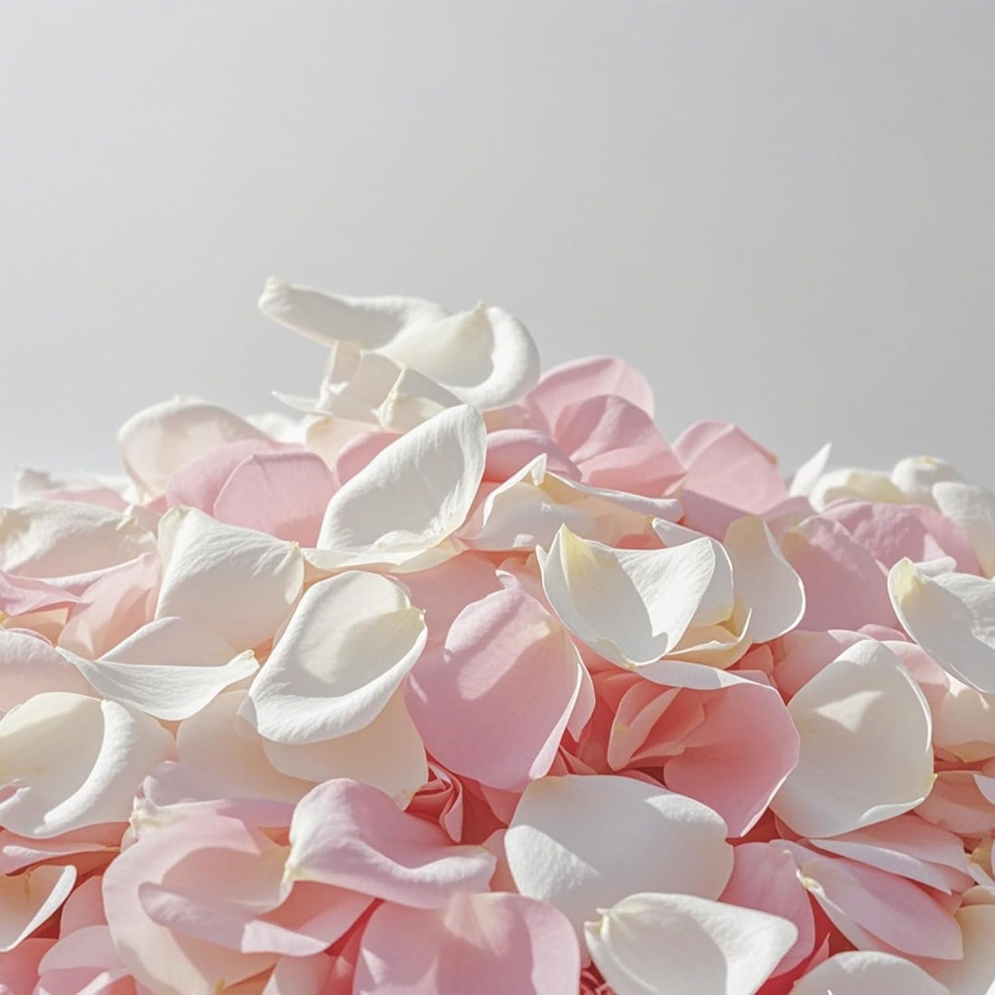 3.5 Oz Dried Rose Petals Wedding Biodegradable Petals, Natural Preservation Real Flower Petals, Suitable for Flower Petals for Flower Girl, Romantic Night, Table Decoration (White+Pink, 100g)