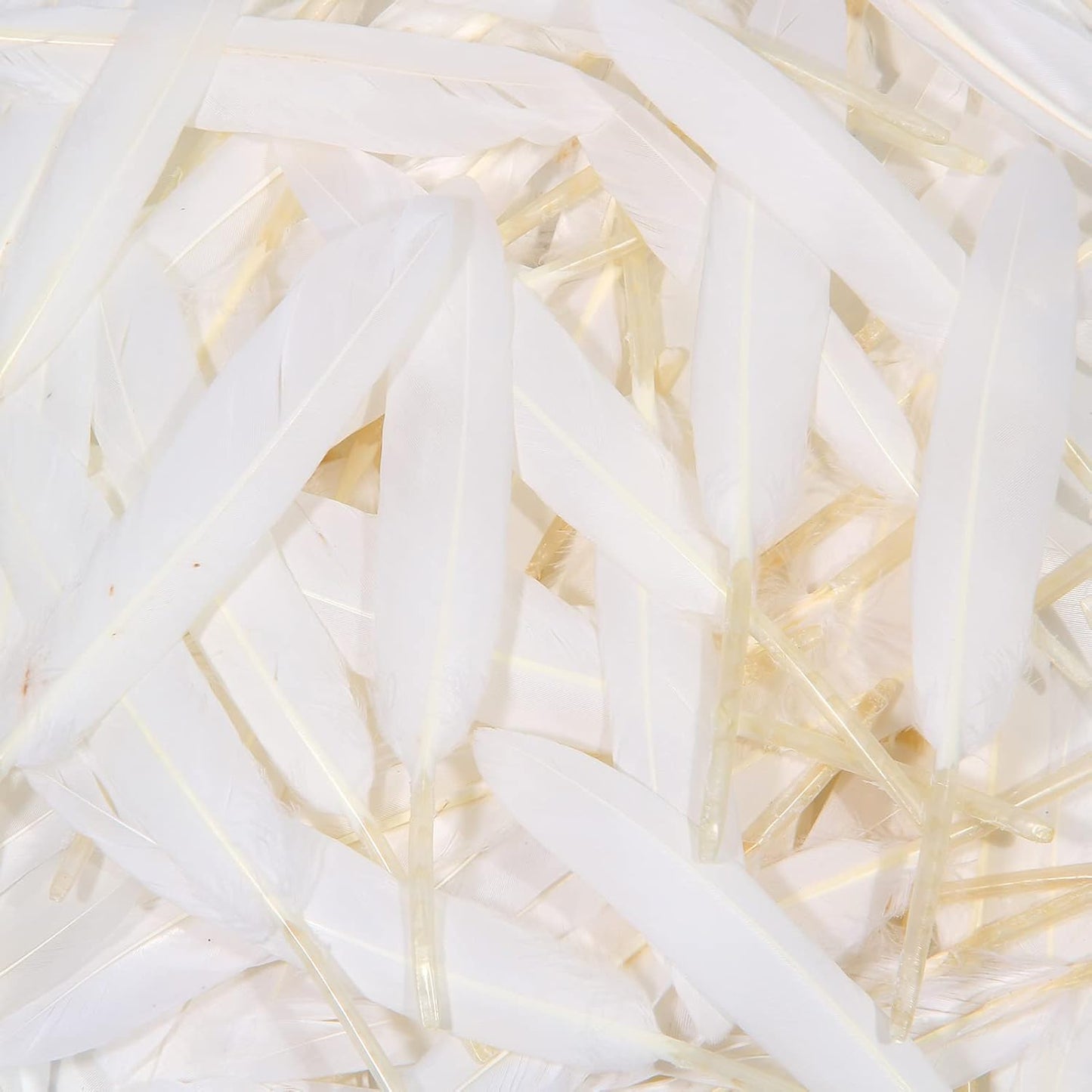 FeelfunFeather 120pcs White Goose Cochettes Feather Natural Bulk 4-6 inch 10-15cm for Wedding Party Christmas Halloween Decorations DIY Crafts