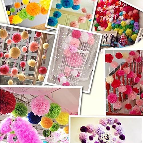 Paper Pom Poms Color Tissue Flowers Hanging Paper Fans Celebration Wedding Birthday Party Halloween Christmas Outdoor Decoration-Set of 20