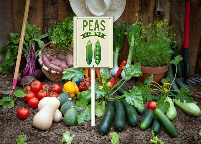 Eveokoki Aluminum Seed & Plant Labels - Plant Markes for Seedlings-Plant Tags for Pots - Garden Signs for Vegetable - Durable Markers for Plants Outdoor Waterproof - Garden Decor for Farmhouse