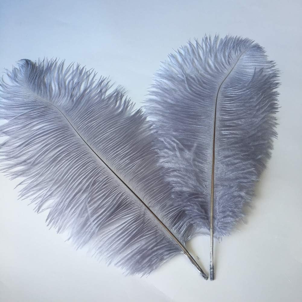 Sowder 8-10inch(20-25cm) Ostrich Feathers Plume for Wedding Centerpieces Home Decoration Pack of 10pcs(Grey)
