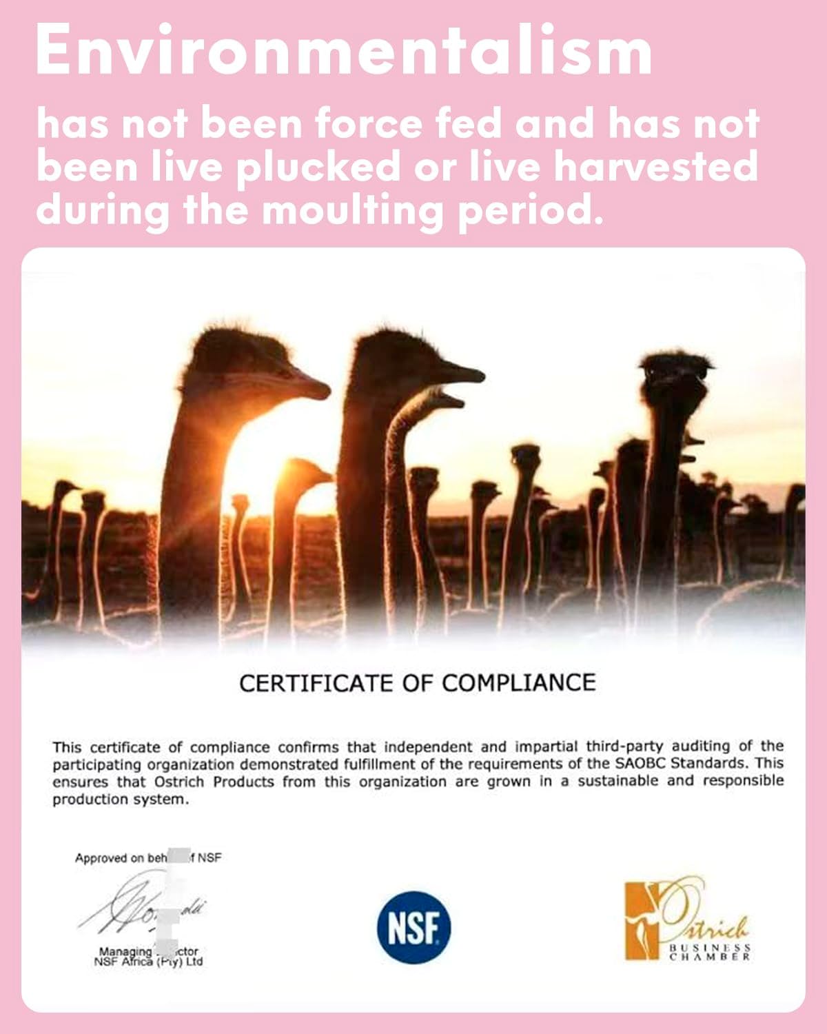 NEWONG 30pcs Light Pink Ostrich Feathers Natural Bulk 8-10inch（20-25cm) Vase Craft Wedding Home Party Centerpieces Christmas Day coquettish Valentine's Day Decoration