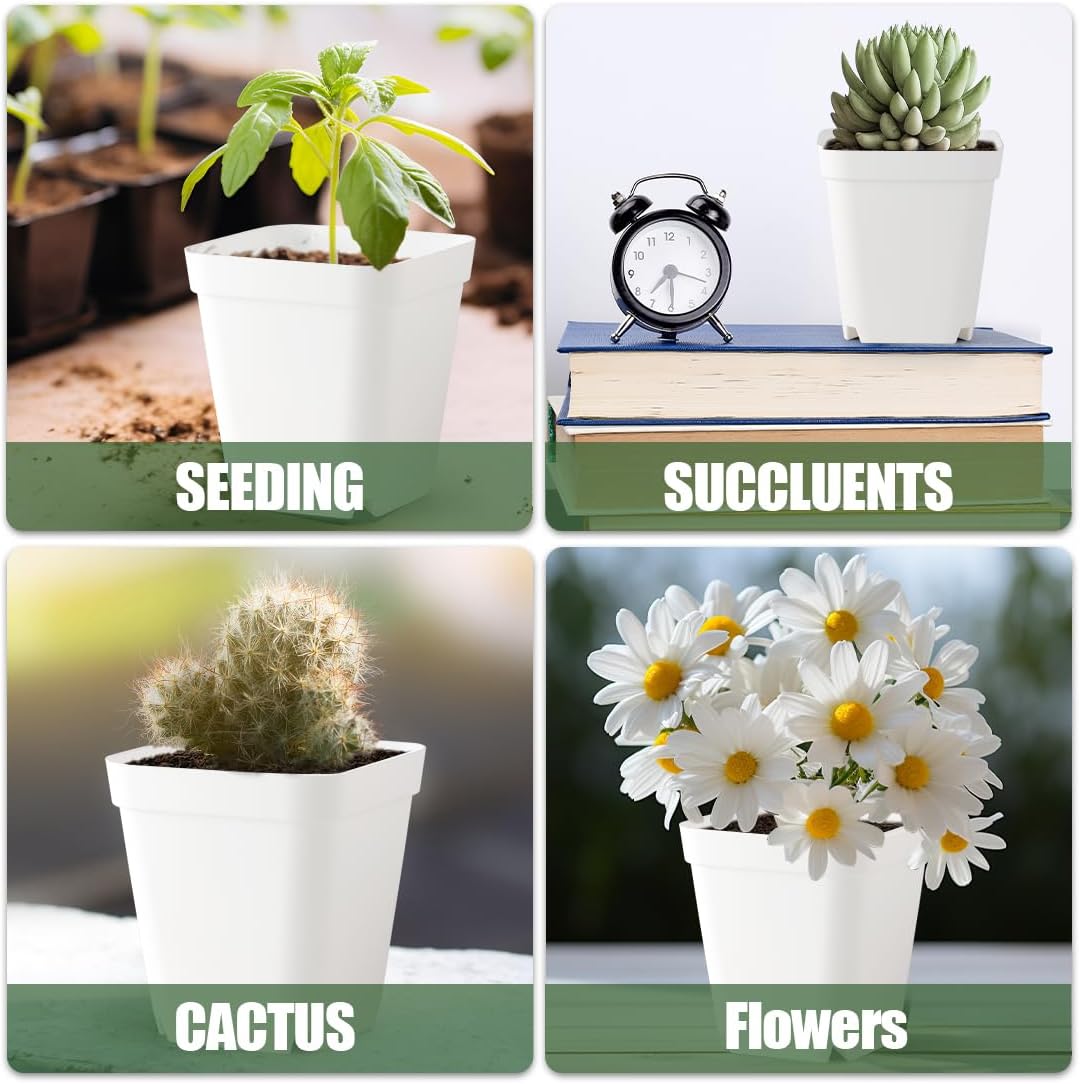 BTPLASTIK 80 Pcs Nursery Pots 4 Inch, Plastic Seed Starting Pot with Drainage Holes, Small Sturdy Seedling pots for Planting, Succulents, Transplanting, Cuttings (White)