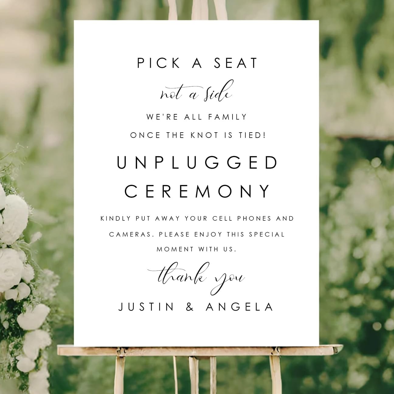 Wedding Yard Sign – Pick a Seat Not a Side + Unplugged Ceremony – Modern Minimalist Outdoor Welcome Board