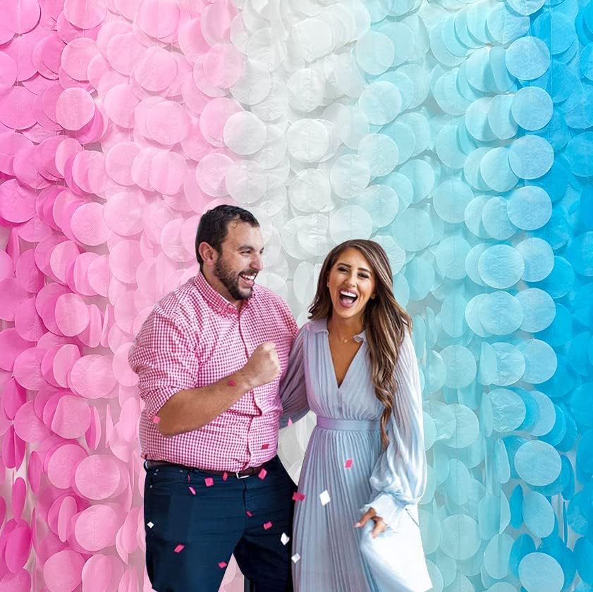 205 Ft Gender Reveal Party Decorations Ombre Pink and Blue Big Circle Dot Backdrop Garland Tissue Paper Polka Dot Hanging Curtain Streamer for He or She Boy or Girl Baby Shower Birthday Party Supplies