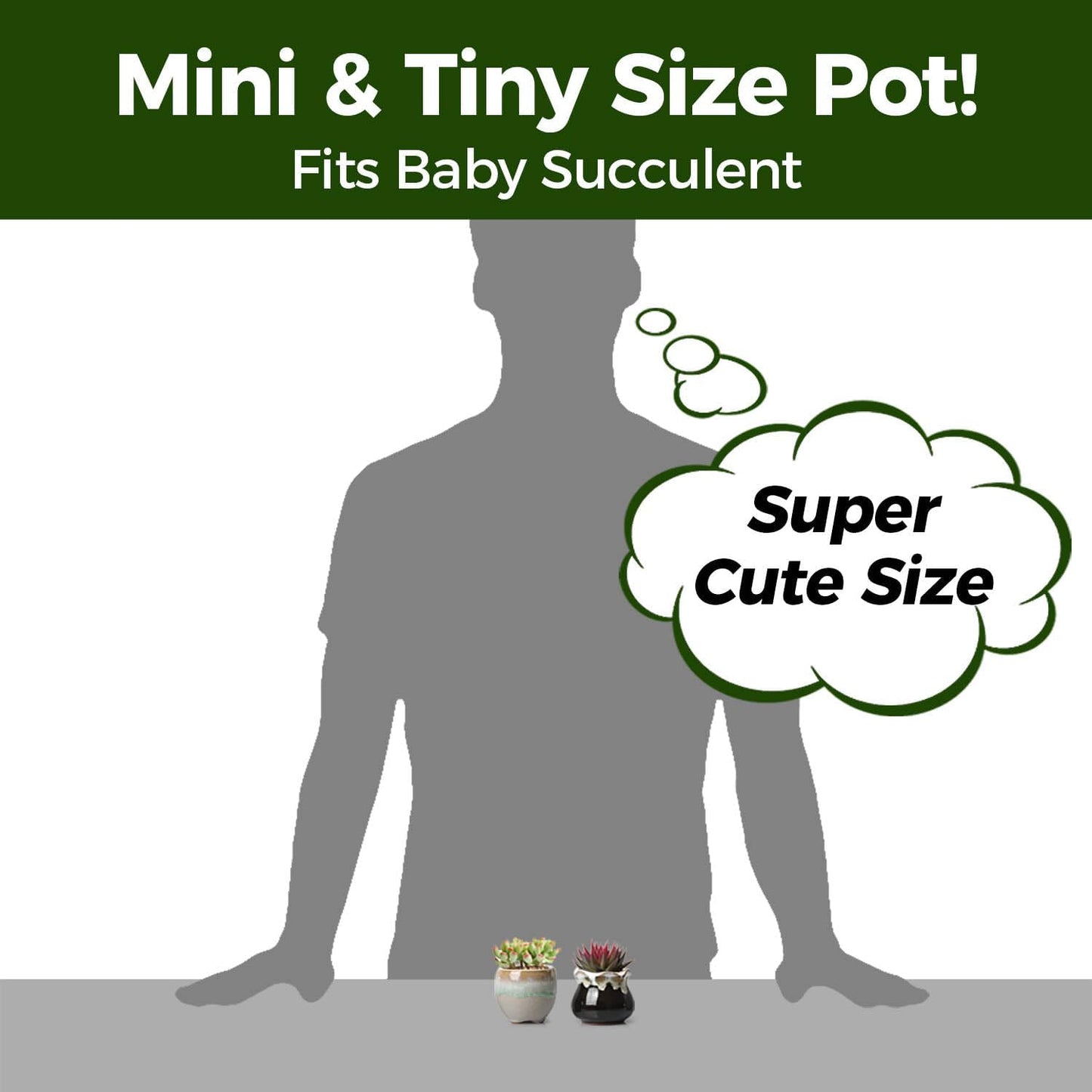 T4U Small Ceramic Succulent Pots with Drainage - Set of 12, Mini Pots for Plants, Home and Office Decor, Plant Lover Gifts for Women