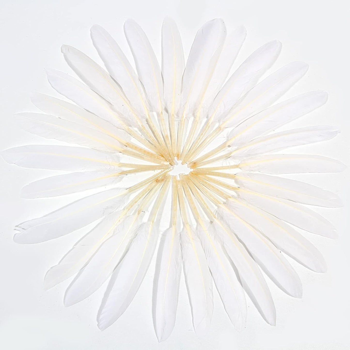 FeelfunFeather 120pcs White Goose Cochettes Feather Natural Bulk 4-6 inch 10-15cm for Wedding Party Christmas Halloween Decorations DIY Crafts