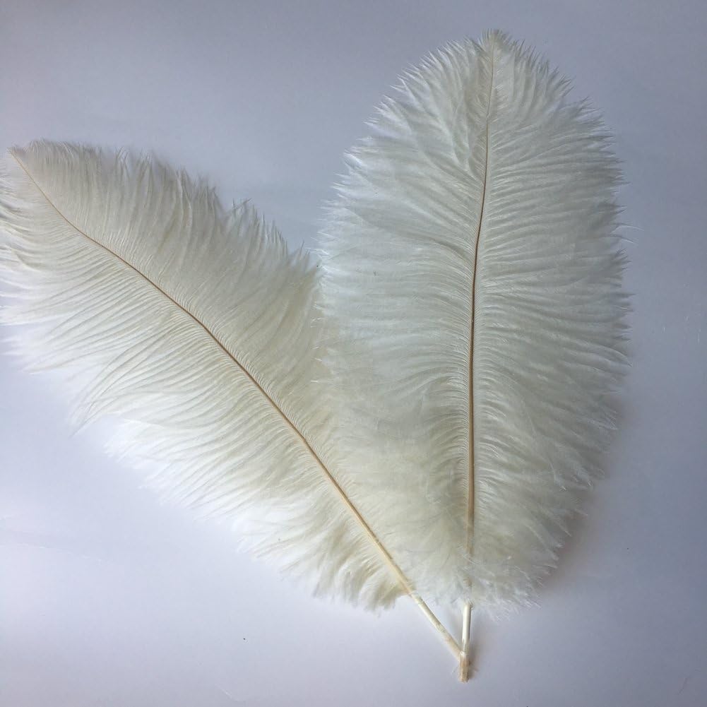 Sowder 10-12inch(25-30cm) Ostrich Feathers Plume for Wedding Centerpieces Home Decoration Pack of 10pcs(Ivory)