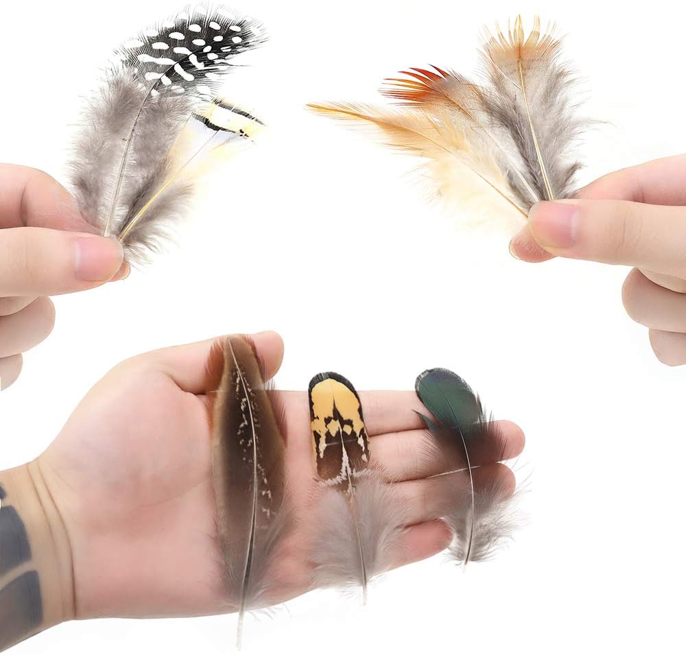 Ballinger 240pcs 12 Styled Natural Feathers Assorted Mixed Feathers for Jewelry and Dream Catcher Crafts Decoration
