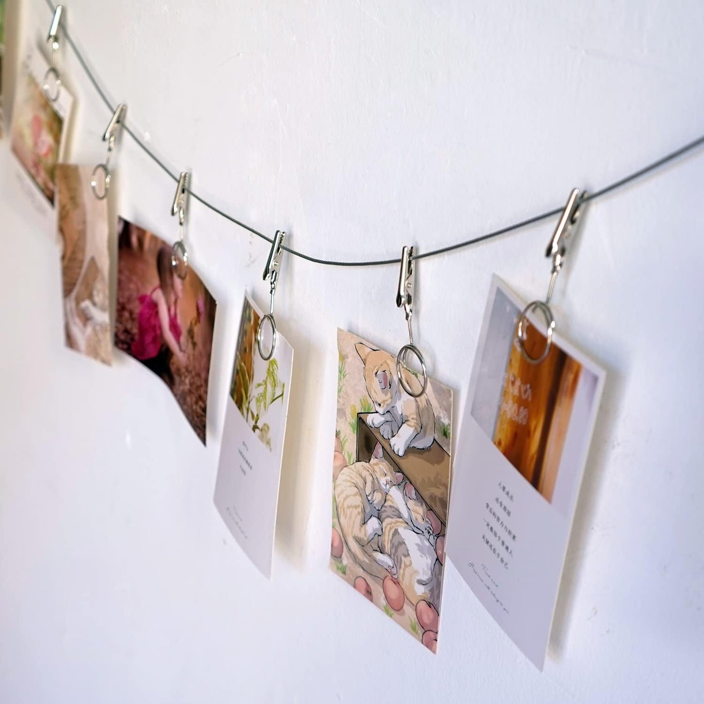 Multi-Purpose Steel Wall Hanging Photo Display Cable Wire Rod with 12 Adjustable Clips for Hanging Photos Notes Postcard and Artworks (Round)