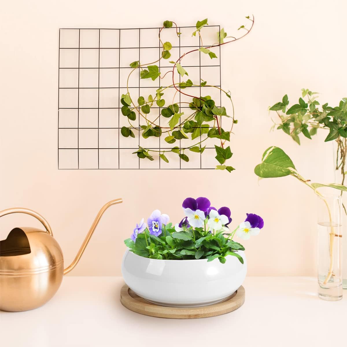 ZOUTOG 2 Pack Succulent Pots, 6 inch Ceramic Planters for Indoor Plants with Bamboo Tray, Pots with Drainage, Seeds＆ Plants Not Included