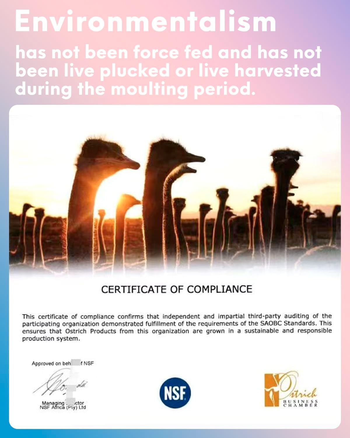 NEWONG 30pcs Royal Blue Ostrich Feathers Natural Bulk 11-14inch(28-35cm) Vase Craft Wedding Home Party Centerpieces Christmas Day Decoration