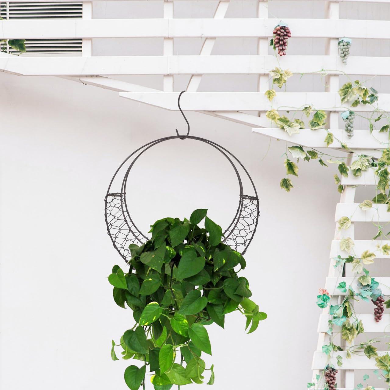 TOYANDONA Round Wire Wreath Frame: Moon Shaped Metal Hanging Sphere Planter Moon Wreath Plant Holder Flower Hanging Basket, Succulent Pot Decor Basket Indoor Outdoor Wall Decor