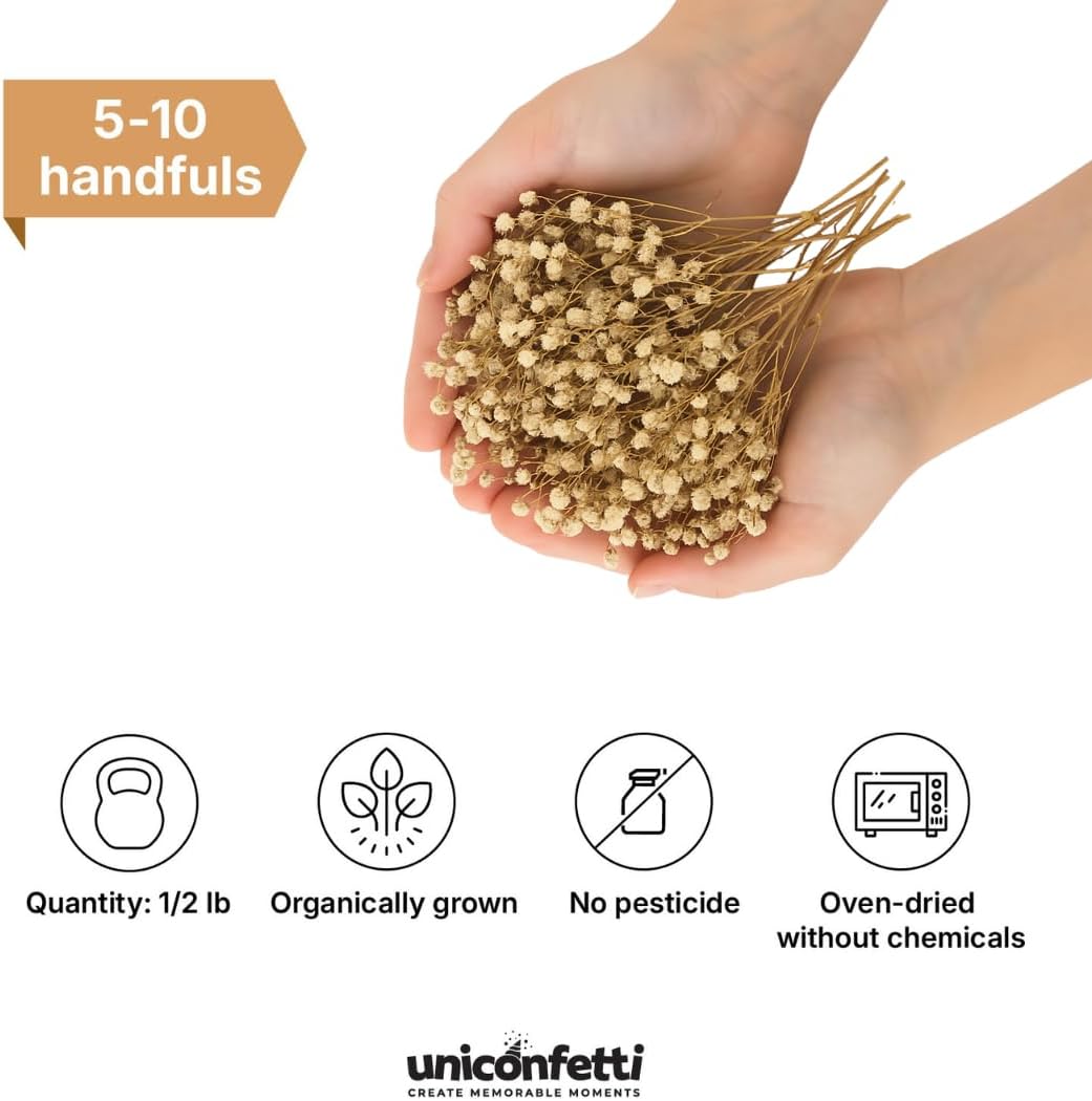 Dried Flower Baby's Breath Biodegradable Confetti - Real Flower Petals for Weddings, Flower Girl Toss, Wedding Send Off Ideas, Party Table Decoration | Boxed - 8oz (0.5lbs)