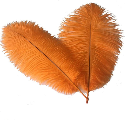 Sowder 6-8inch(15-20cm) Ostrich Feathers Plume for Wedding Centerpieces Home Decoration Pack of 10pcs(Orange)