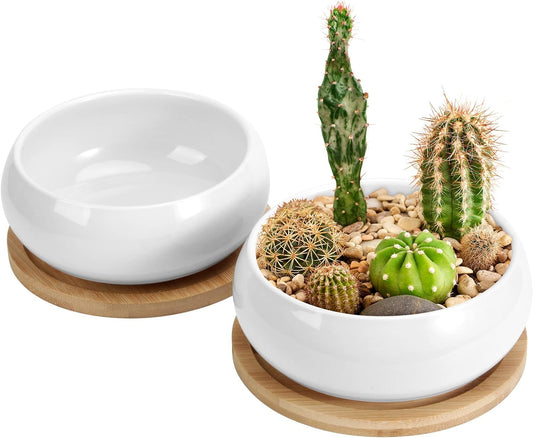 ZOUTOG 2 Pack Succulent Pots, 6 inch Ceramic Planters for Indoor Plants with Bamboo Tray, Pots with Drainage, Seeds＆ Plants Not Included