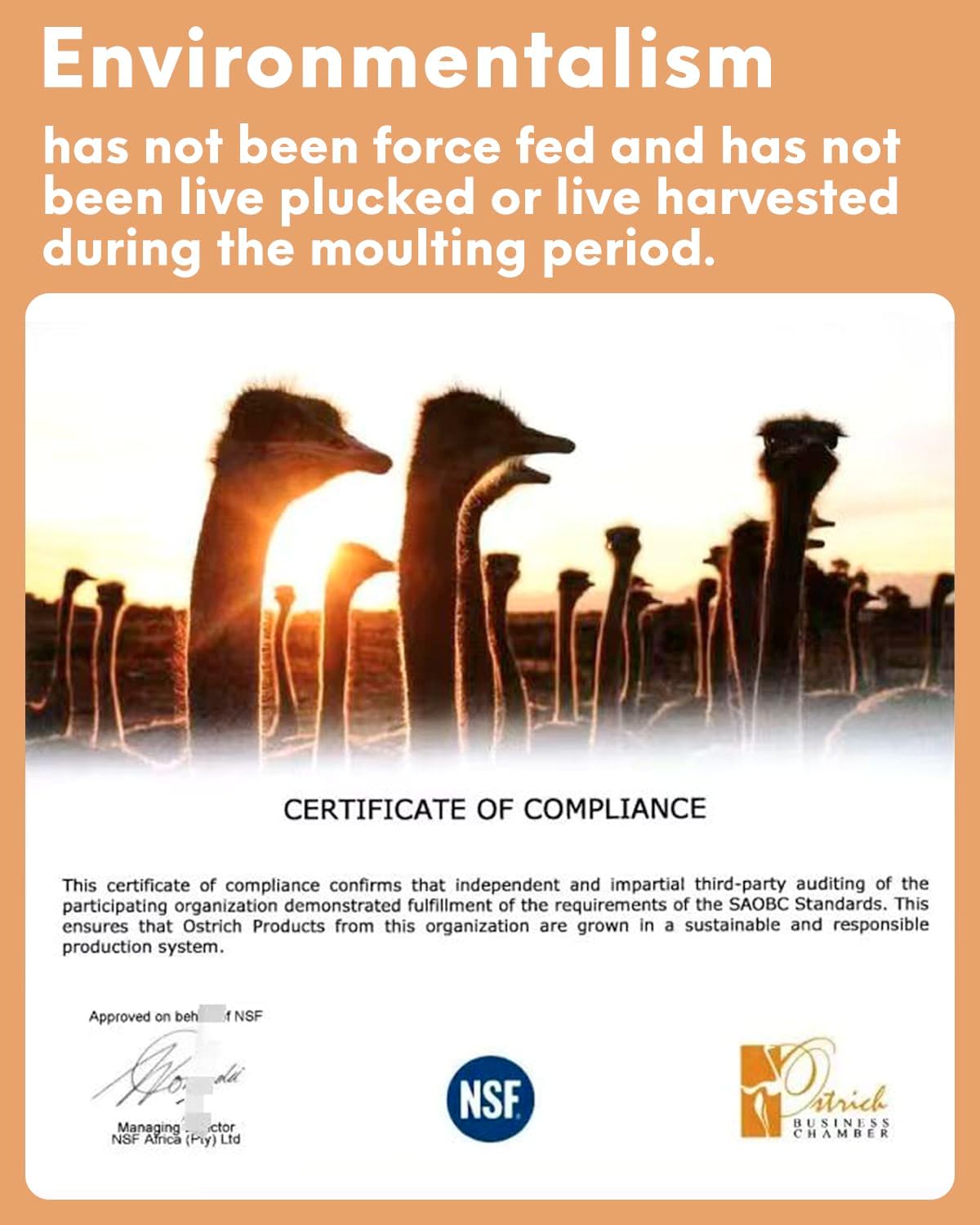 NEWONG 30pcs Rouge Pink Ostrich Feathers Natural Bulk 8-10in（20-25cm） Vase Craft Wedding Home Party Centerpieces Christmas Day Decoration