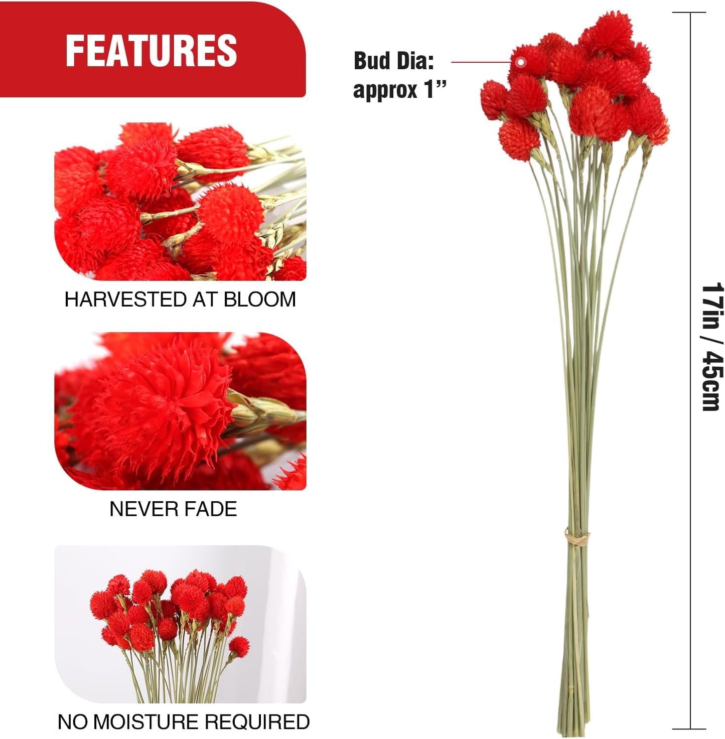 Dried Globe Amaranth Flower with Wheat Straw 40PCS Bouquet for Vase Home Decor Party DIY Arrangement(Bright Red)