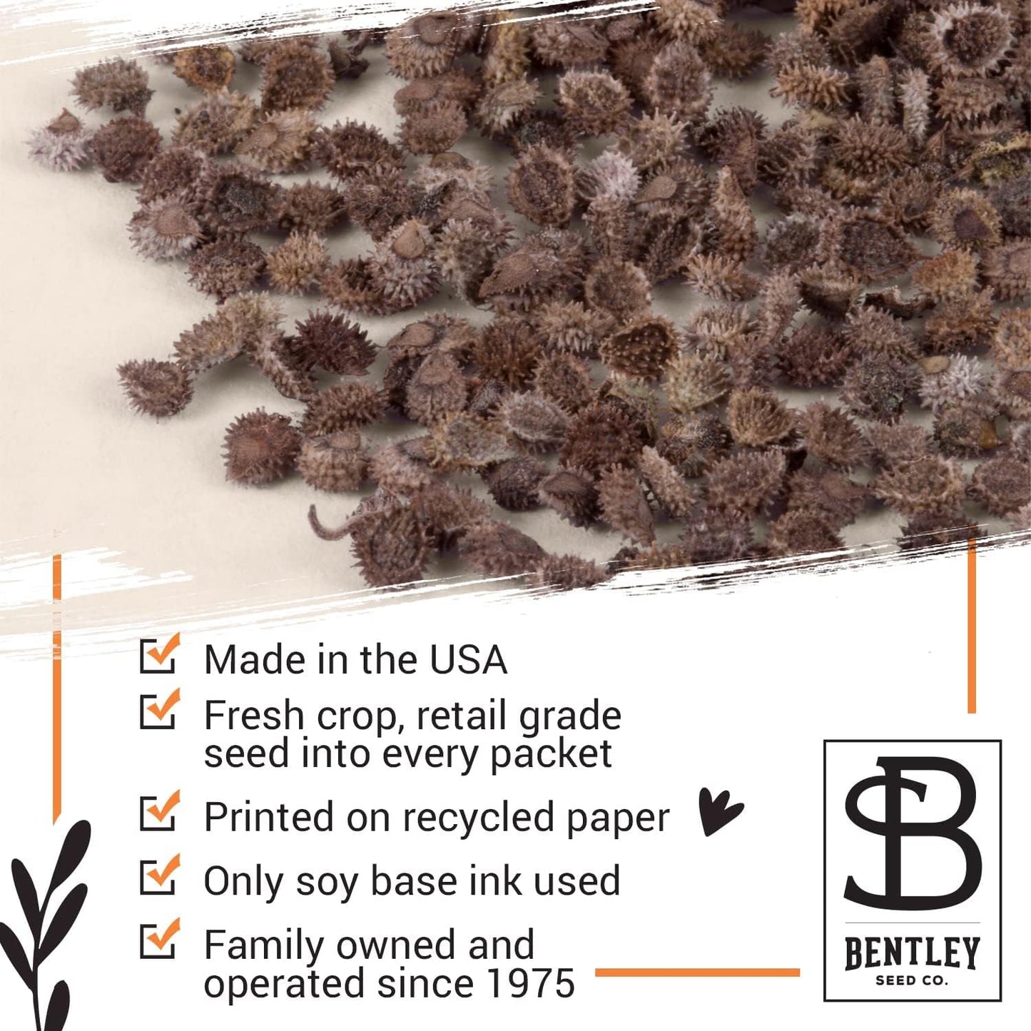 Vintage Look - 25 Individual Forget Me Not Flower Seed Packet Favors - Non GMO - Ready to Give - Bulk Pack of 25