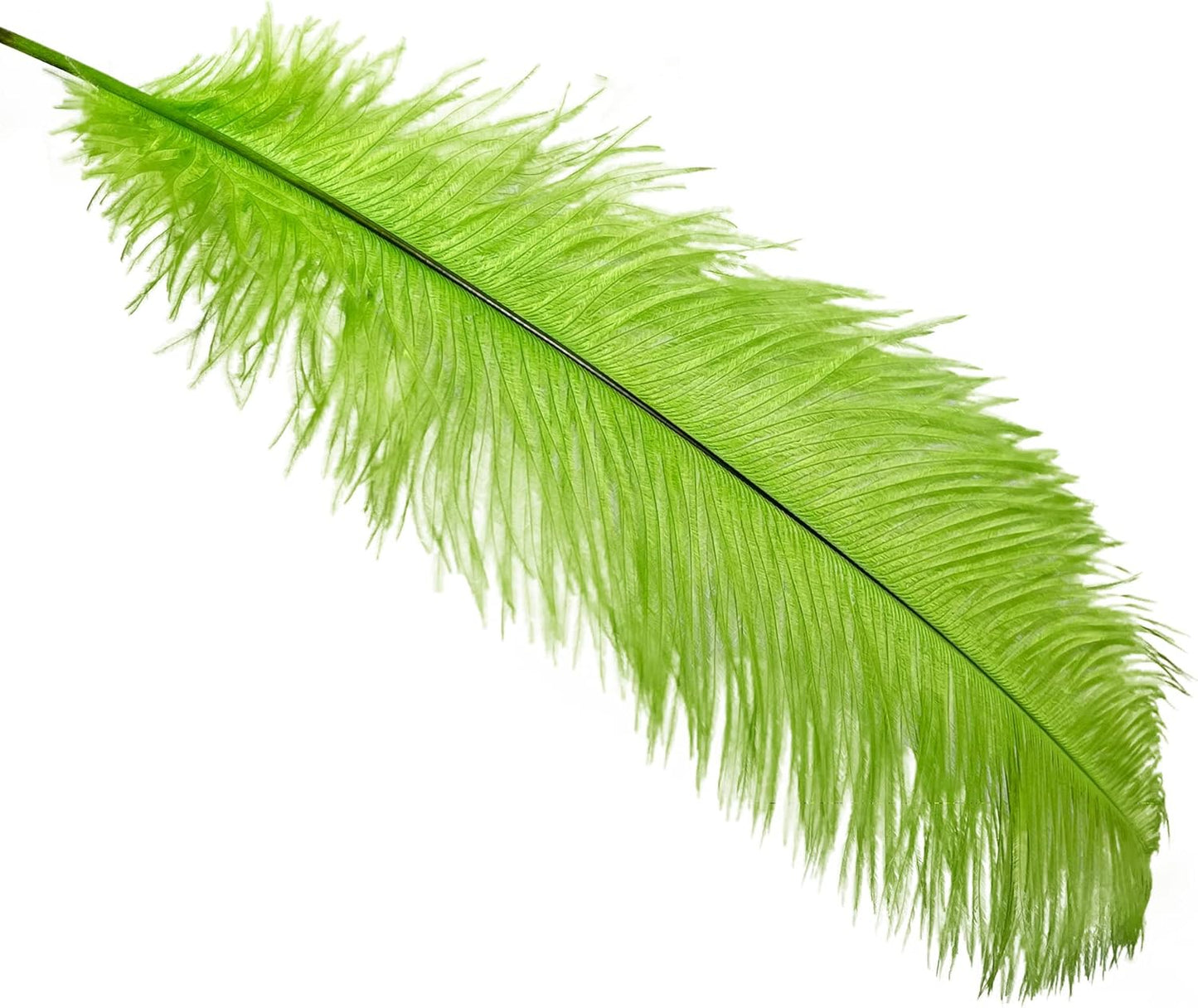 Happy Feather 16-18 inch Green Ostrich Feathers Craft for Wedding Party Centerpieces Home Decoration DIY Craft Pack of 10