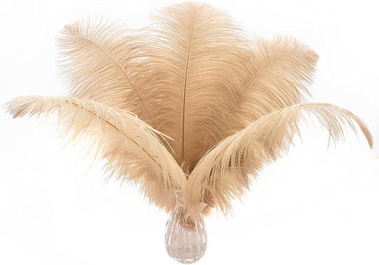 Ballinger Large Champagne Ostrich Feathers - 24pcs 12-14inch Boho Feathers for Vase and Home Decor Wedding Party Centerpieces