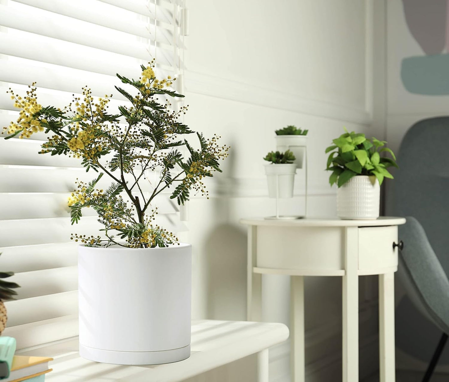 D'vine Dev 2 Pack 8 Inch Modern Plastic Plant Pots, Cylindrical Garden Planters for Plants with Drainage Holes and Saucers, White, 74-Z-M-1