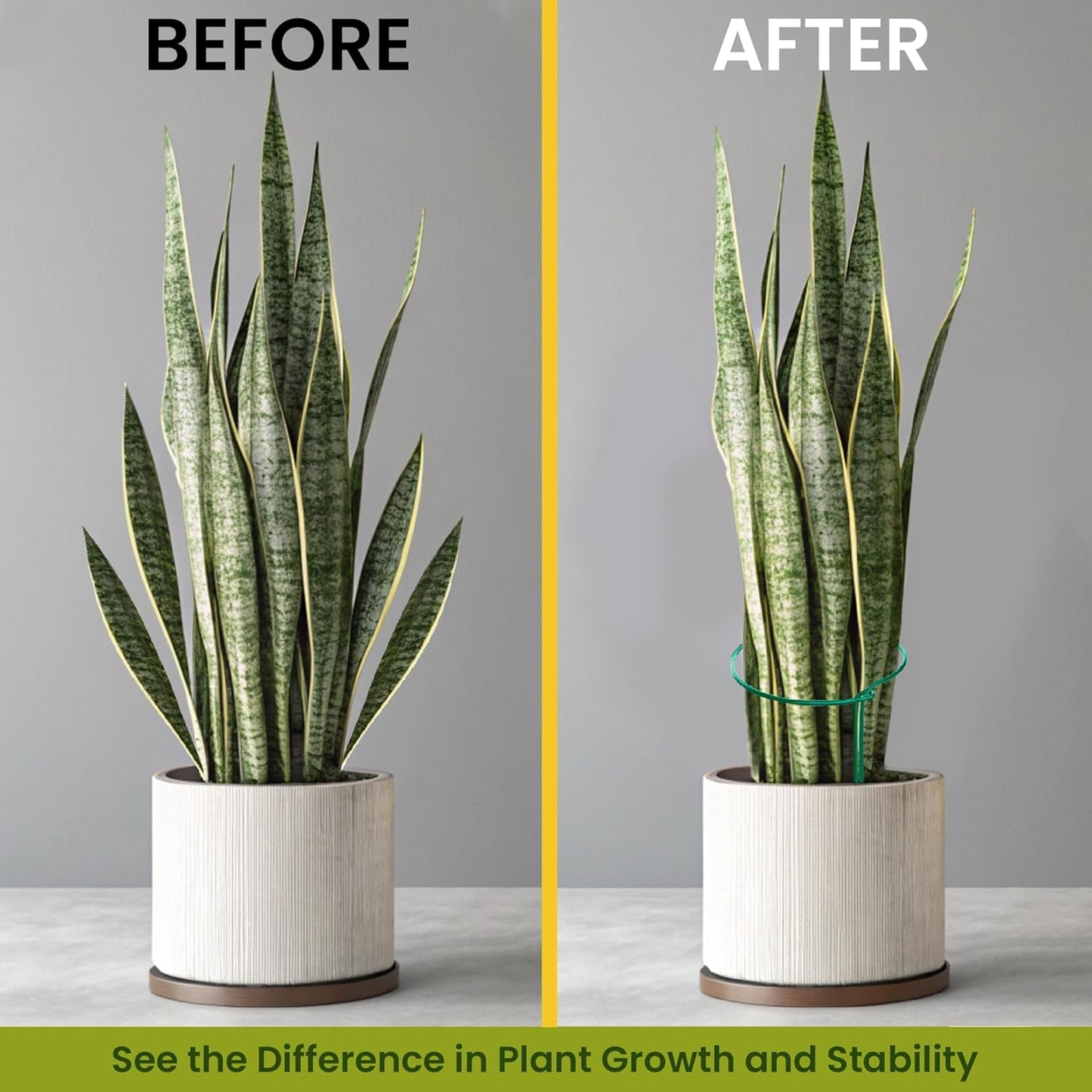 6 Pack Plant Support Stakes – Tall Plant Stakes for Indoor and Outdoor Gardens - Peony Cages and Supports - Cage Rings for Potted Flowers, Peony, Hydrangea, and Rose Bush (10" W x 16" - 24" H)